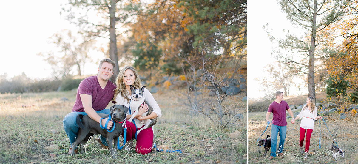 Tracy Zavadil Wedding and Family photographer