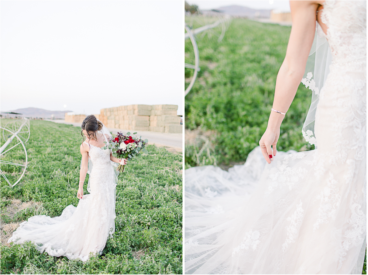 Portraits of bride